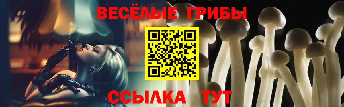 Псилоцибиновые грибы мухоморы Орехово-Зуево